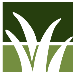 Lawrenceville Lawn Clean Up