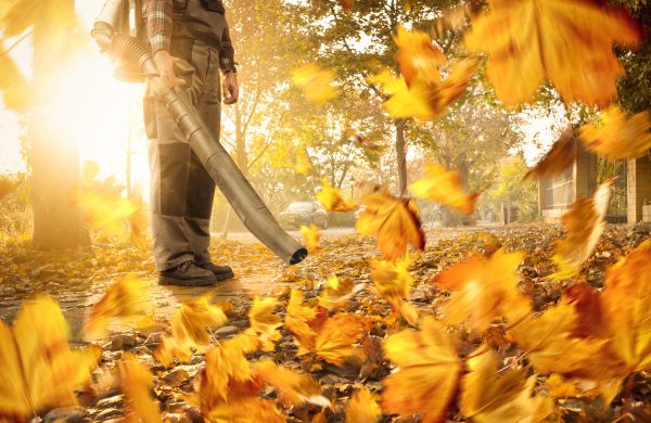 Leaf Blowing Service in Lawrenceville