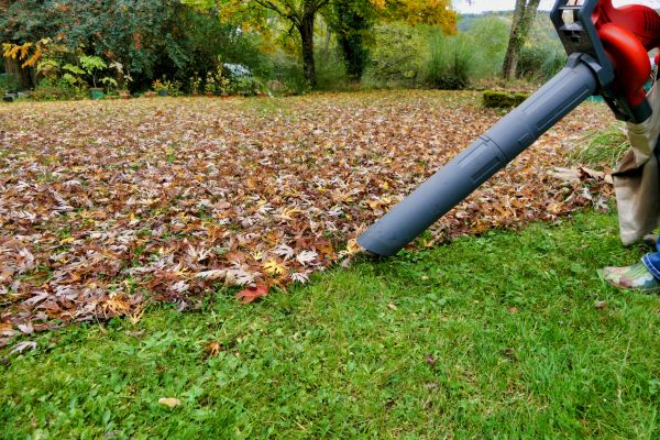 Leaf Vacuuming Service in Lawrenceville
