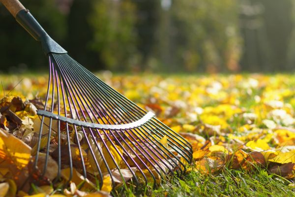 Leaf Raking Service in Lawrenceville