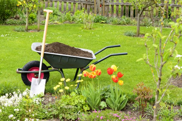 Spring Yard Cleanup in Lawrenceville