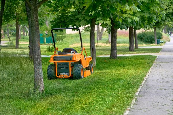 Landscaping Cleanup Service in Lawrenceville