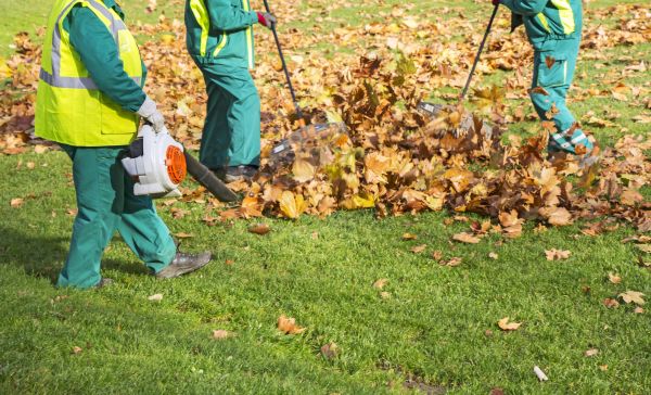 Leaf Maintenance in Lawrenceville