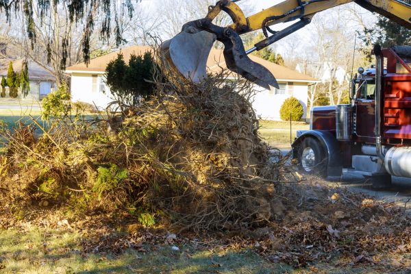 Storm Debris Removal in Lawrenceville