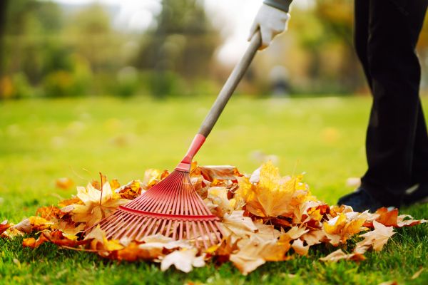 Ditch Leaf Removal in Lawrenceville