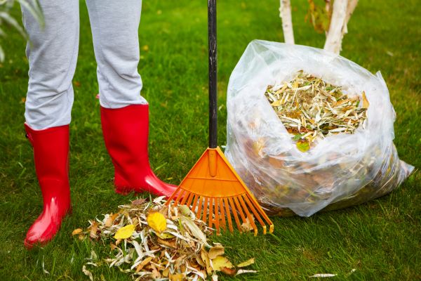 Leaf Disposal Service in Lawrenceville