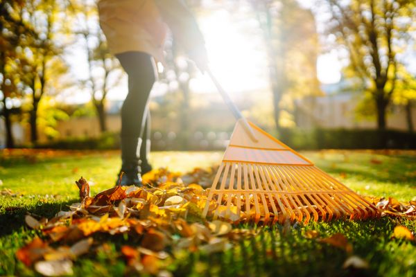 Leaves Raking in Lawrenceville
