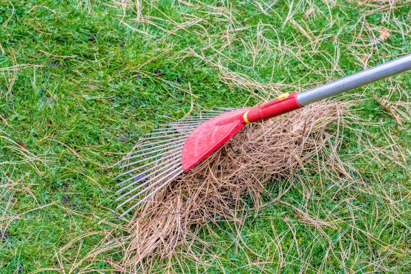 Yard Raking in Lawrenceville