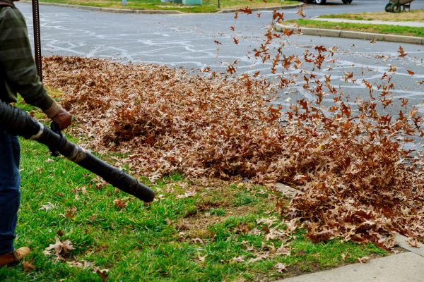 Garden Leaf Removal in Lawrenceville