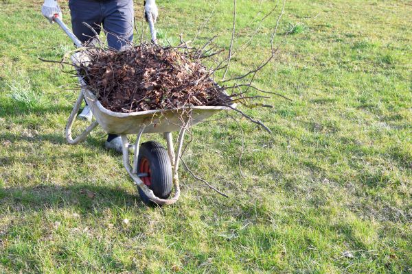 Yard Brush Removal in Lawrenceville