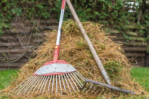 Pine Straw Clearing in Lawrenceville