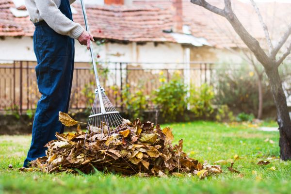 Spring Lawn Cleanup in Lawrenceville