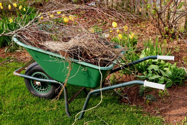 Lawn Waste Removal in Lawrenceville
