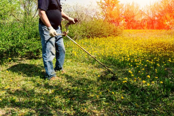 Yard Clearing Service in Lawrenceville