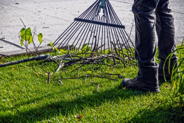 Yard Debris Cleanup in Lawrenceville