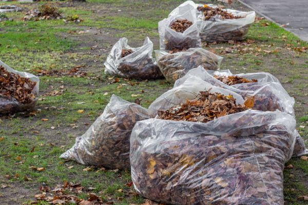Leaf Pile Disposal in Lawrenceville