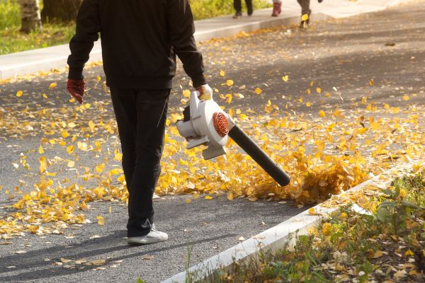 Commercial Leaf Removal in Lawrenceville