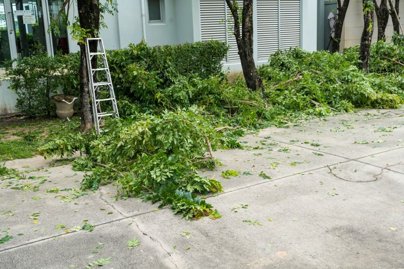 Commercial Leaf Removal detail