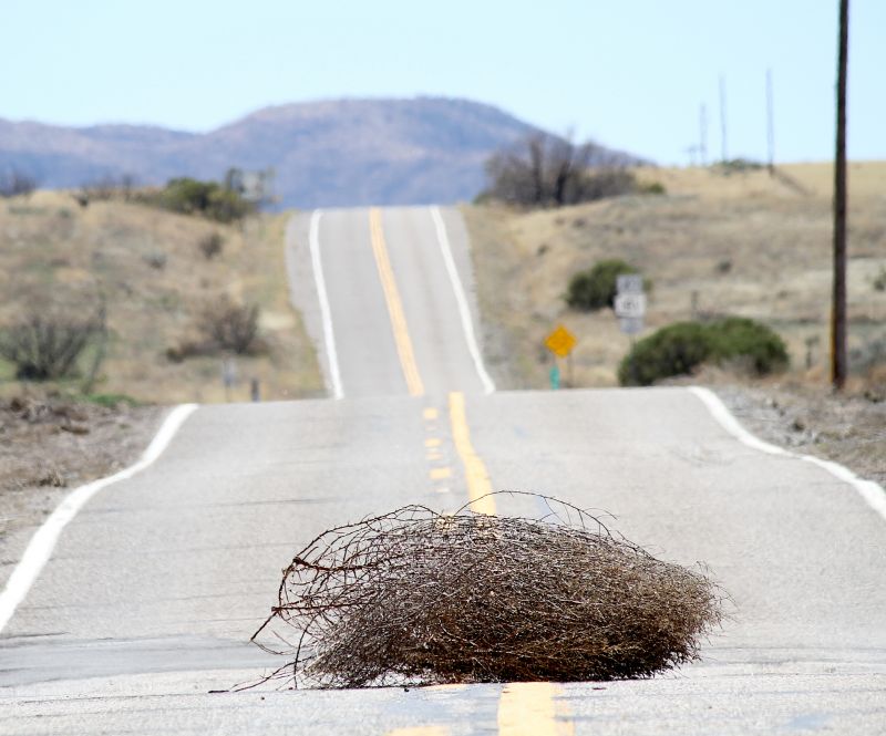 Tumbleweed Removal